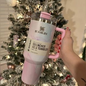 💕 Watercolor Stanley 💕